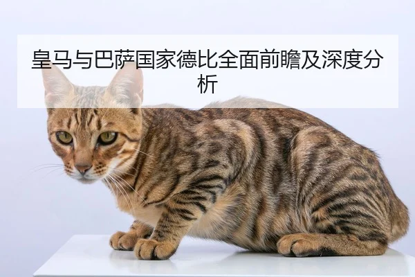 皇马与巴萨国家德比全面前瞻及深度分析